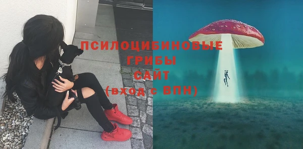 а пвп мука Балабаново