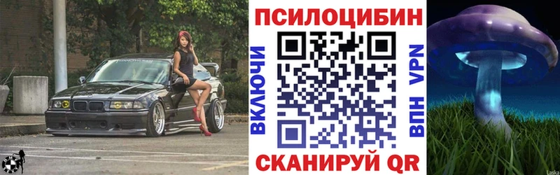 Купить  Аткарск  Псилоцибиновые грибы Psilocybe 